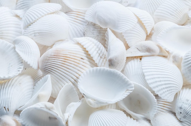 pick_the_best_smartphone_you_need